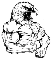 Football Eagles Mascot Decal / Sticker 04