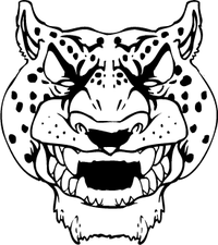 Cheetahs Head Mascot Decal / Sticker