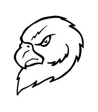 Hawks / Falcons Mascot Decal / Sticker