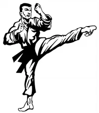 Custom MARTIAL ARTS Decals and Stickers Any Size & Color