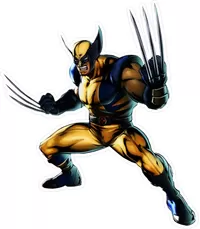 X-men Wolverine Decal / Sticker 06