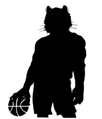 Basketball Tigers Mascot Decal / Sticker 2