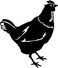CUSTOM CHICKEN DECALS and CHICKEN STICKERS