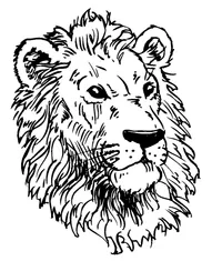 Lions Mascot Decal / Sticker 5