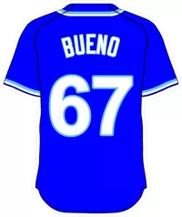 67 Francisley Bueno Royal Blue Jersey Decal / Sticker