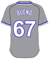 67 Francisley Bueno Gray Jersey Decal / Sticker