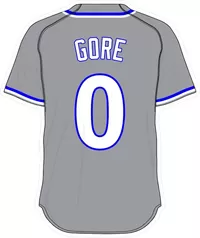 0 Terrance Gore Gray Jersey Decal / Sticker