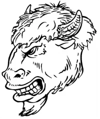 Custom BUFFALO Decals AND BUFFALO MASCOT Stickers Any Size & Color