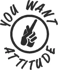 You Want Attitude Decal / Sticker