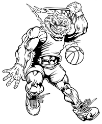 Basketball Comets Mascot Decal / Sticker 5