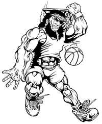 Basketball Pirates Mascot Decal / Sticker 2