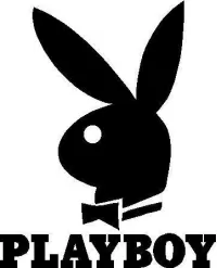 Custom PLAYBOY Decals and PLAYBOY Stickers Any Size & Color