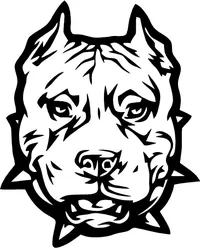 Pitbull Decal / Sticker 09