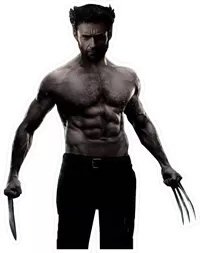 X-men Wolverine Decal / Sticker 08