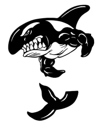 Killer Whales Mascot Decal / Sticker 01b