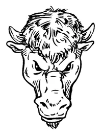 Buffalo Head Mascot Decal / Sticker hd2