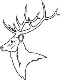 Buck Deer Decal / Sticker 08