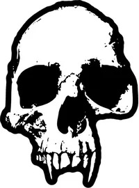 Eroded Skull Decal / Sticker 30