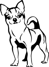 Custom CHIHUAHUA DECALS & CHIHUAHUA Stickers Any Size & Color