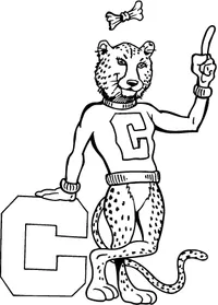 Cheetahs Mascot Decal / Sticker