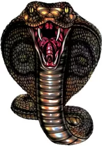 Cobra Decal / Sticker 08