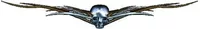 Bronze Skull Tribal Decal / Sticker L5