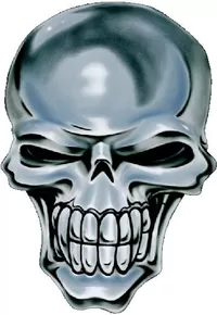 Chrome Skull Decal / Sticker 06