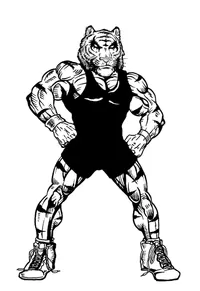 Wrestling Tigers Mascot Decal / Sticker 3