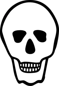 Skull Decal / Sticker 26