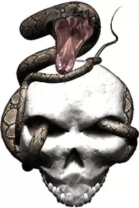 Snake Skull Decal / Sticker