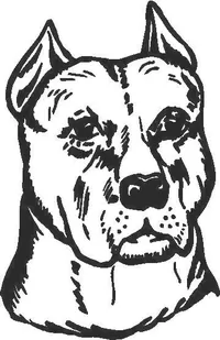 Dog Decal / Sticker 07
