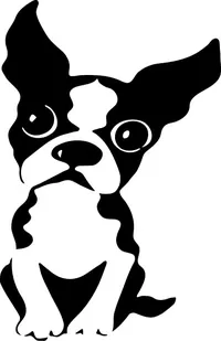 Boston Terrier Decal / Sticker 03