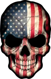 American Flag Skull Decal / Sticker 06