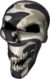 3D Desert Camouflage Skull Decal / Sticker