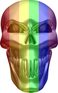 LGBT Flag Skull Decal / Sticker 04