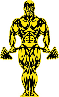 Gold's Gym Decal / Sticker 07