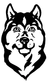 Wolves Mascot Decal / Sticker