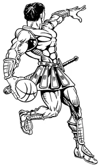 Basketball Paladins / Warriors Mascot Decal / Sticker 4