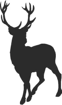 Buck Deer Decal / Sticker 06