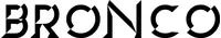Bronco Engraved Lettering Decal / Sticker 14