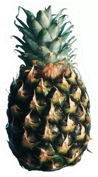 Pineapple Decal / Sticker 02