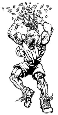 Arkansas Razorback Coloring Pages