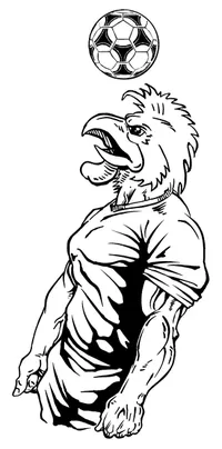 Soccer Gamecocks Mascot Decal / Sticker 3