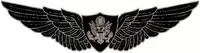 AirCrew Wings 02 Decal / Sticker