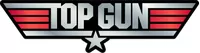 Top Gun Decal / Sticker 08