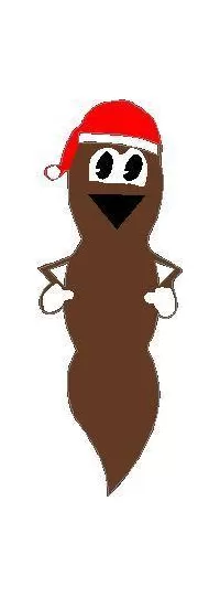 Mr. Hanky the Christmas Poo Decal / Sticker