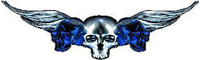 Blue Winged Skulls Decal / Sticker J3