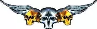 Gold Winged Skulls J4 Decal / Sticker