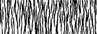 Tiger Stripes Decal / Sticker 01
