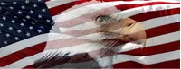 American Flag Bald Eagle Decal / Sticker 35